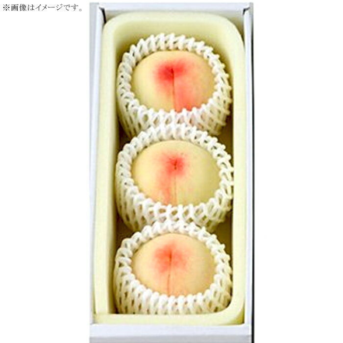 【ふるさと納税】白桃 岡山 桃 もも モモ 岡山の桃 早生種 白鳳 加納岩白桃 スイーツ フルーツ 果物 お取り寄せ ギフト 贈答用 デザート 旬 大玉 岡山の白桃（早生種）大玉3玉（約840g）【26年6月中旬以降に順次発送】 サムネイル3