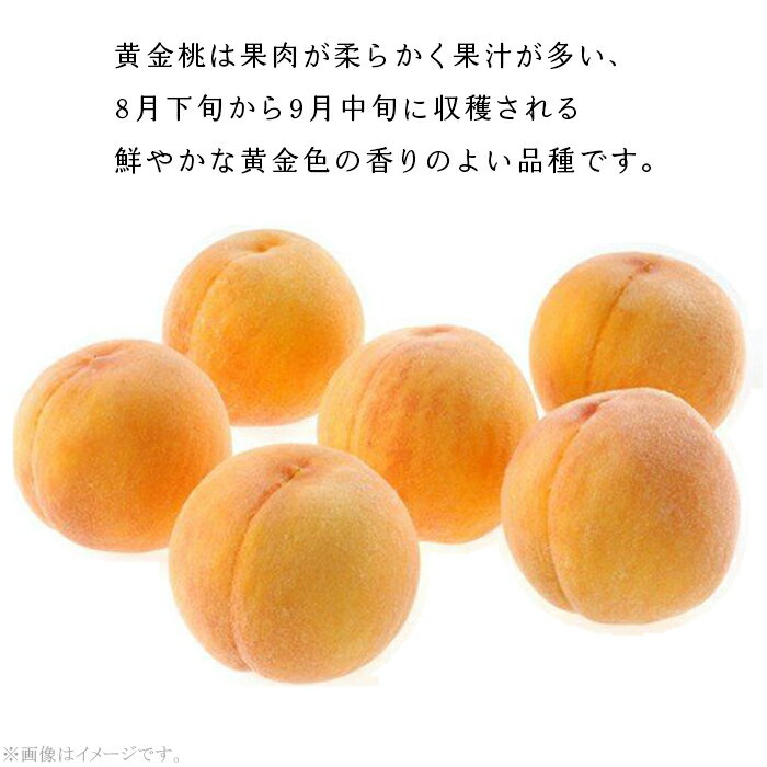 【ふるさと納税】訳あり 家庭用 桃 もも 黄金桃 選べる 大玉 岡山 旬 フルーツ 果物 モモ 岡山の桃 お取り寄せ デザート スイーツ（晴れの国おかやま館）【26年8月下旬以降に順次発送】 サムネイル2
