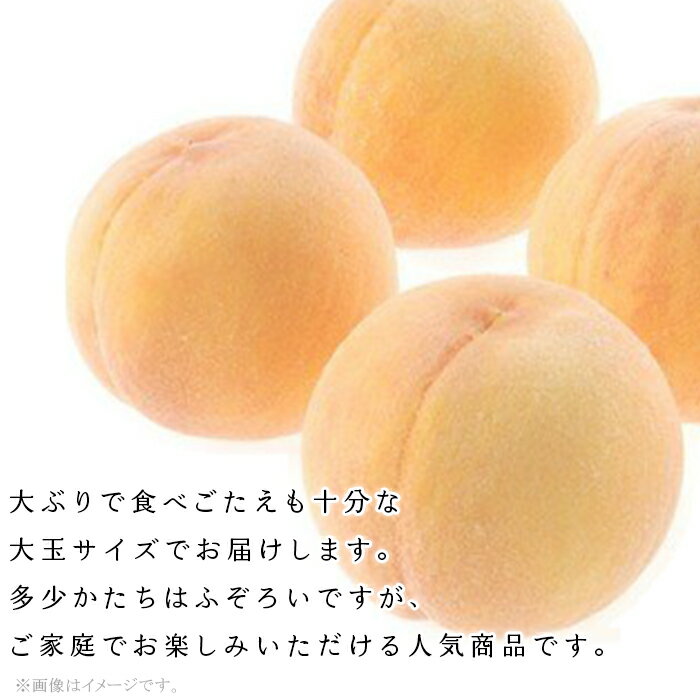 【ふるさと納税】訳あり 家庭用 桃 もも 黄金桃 選べる 大玉 岡山 旬 フルーツ 果物 モモ 岡山の桃 お取り寄せ デザート スイーツ（晴れの国おかやま館）【26年8月下旬以降に順次発送】 サムネイル3