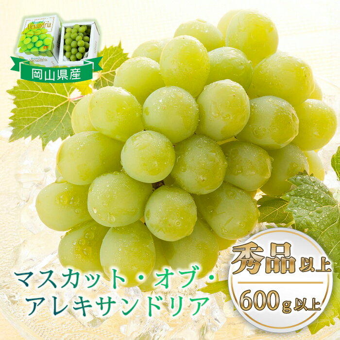 岡山県産 ぶどう 葡萄 ブドウ マスカットオブアレキサンドリア 1房 果物 スイーツ フルーツ お取り寄せ ギフト 贈答用 デザート 旬 マスカットオブアレキサンドリア 1房(600g以上・秀品以上) 化粧箱入り【2026年7月中旬～8月中旬発送予定】