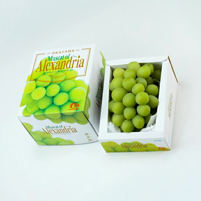 【ふるさと納税】岡山県産 ぶどう 葡萄 ブドウ マスカットオブアレキサンドリア 1房 果物 スイーツ フルーツ お取り寄せ ギフト 贈答用 デザート 旬 マスカットオブアレキサンドリア 1房(600g以上・秀品以上) 化粧箱入り【2026年7月中旬～8月中旬発送予定】 サムネイル3