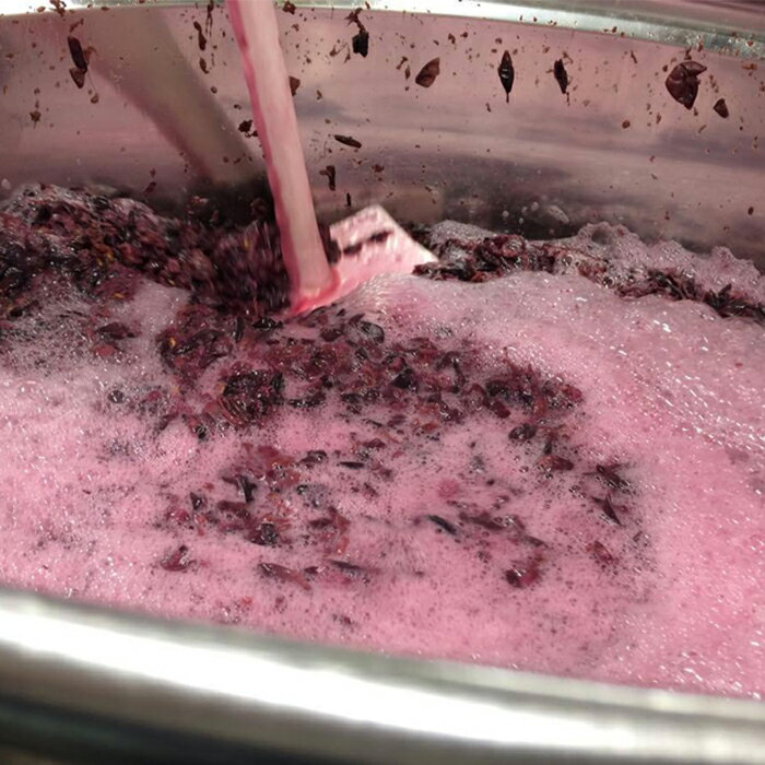 【ふるさと納税】田舎式ワイン「月頭」＆「月泡」2本セット サムネイル3