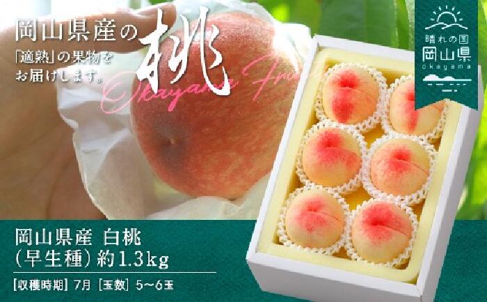 白桃 岡山 桃 もも モモ 岡山の桃 早生種 白鳳 加納岩白桃 スイーツ フルーツ 果物 お取り寄せ ギフト 贈答用 デザート 旬 岡山県産「白桃（早生種）」約1.3kg（5～6玉）【26年7月上旬以降に順次発送】