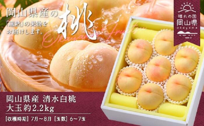 白桃 岡山 桃 もも モモ 岡山の桃 清水白桃 桃の女王 スイーツ フルーツ 果物 お取り寄せ ギフト 贈答用 デザート 旬 大玉 岡山県産「清水白桃」約2.2kg（大玉6～7玉）【26年7月上旬以降に順次発送】