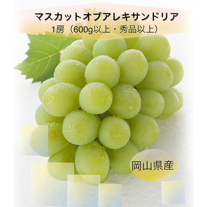 【ふるさと納税】岡山県産 果物 スイーツ フルーツ 定期便 6回 白桃 桃 もも モモ 葡萄 ぶどう ブドウ マスカット・オブ・アレキサンドリア 桃太郎ぶどう ニューピオーネ シャインマスカット 晴王 梨 あたご梨 化粧箱入り 岡山県産 フルーツ定期便 全6回【2026年産】 サムネイル3