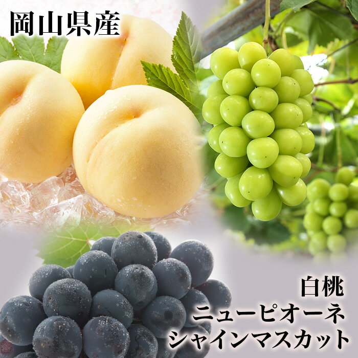 岡山県産 詰合せ 白桃2玉(1玉220g以上)・ニューピオーネ1房(480g以上)・シャインマスカット「晴王」1房(480g以上) 化粧箱入り【2026年7月下旬～8月中旬発送予定】