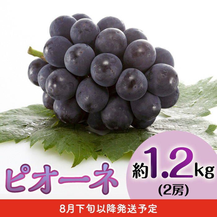 【ふるさと納税】フルーツ 定期便 年3回 2026先行予約 岡山 シャインマスカット 晴王 黒ぶどう 白桃 旬 果物 岡山県産 ブドウ もも くだもの お楽しみ定期便 サムネイル3