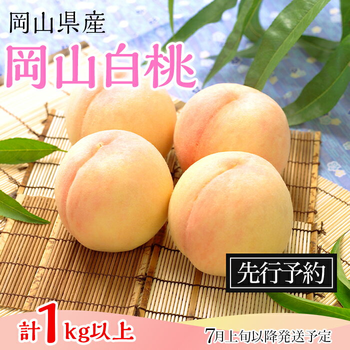 岡山県 岡山白桃 4玉 1kg以上 フルーツ先行予約 果物 桃 冷蔵 74-09 白桃4～5玉（1kg以上）【2026年7月上旬～8月上旬頃発送予定】
