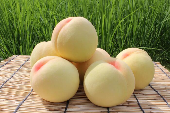 【ふるさと納税】白桃 岡山 桃 もも モモ 岡山の桃 スイーツ フルーツ 果物 お取り寄せ デザート 旬 大玉 家庭用 訳あり 【ご家庭用】おかやまの桃 大玉3玉（約900g）【26年7月上旬以降に順次発送】 サムネイル2