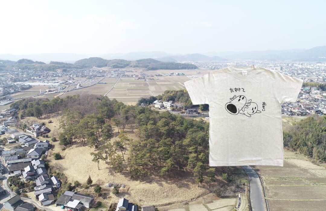 【ふるさと納税】Tシャツ ハニワ 総社ぐるぐる古墳部 オリジナルTシャツ（ライトグレー） サムネイル3