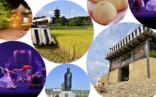 【ふるさと納税】返礼品なし 応援 寄附 岡山県 総社市 30000円 サムネイル2