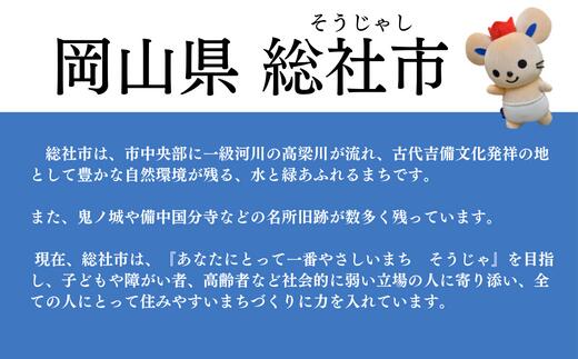 【ふるさと納税】返礼品なし 応援 寄附 岡山県 総社市 30000円 サムネイル3