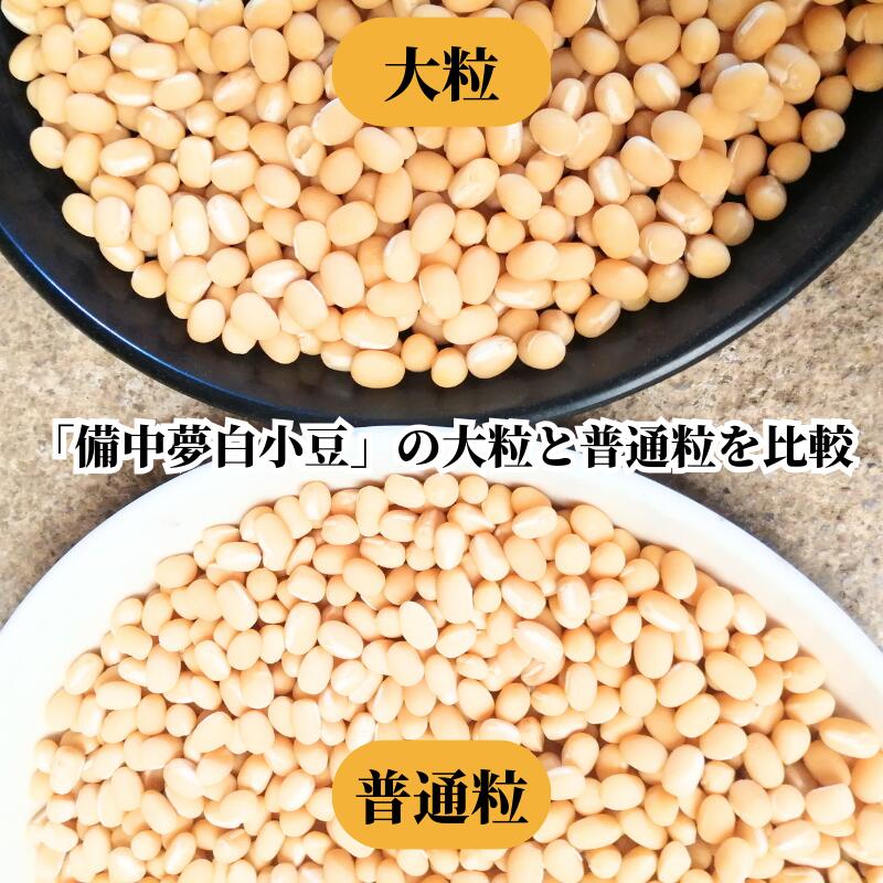 【ふるさと納税】備中夢白小豆 大粒サイズ 1kg（500g×2個） - 画像3