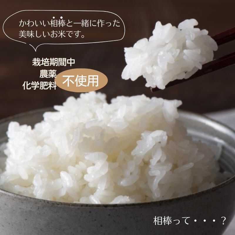 【ふるさと納税】令和7年産 白米 玄米 選べる こしひかり 6kg 2kg×3袋 合鴨農法米 コシヒカリ 農薬不使用 化学肥料不使用 合鴨農法 弁当 おにぎり 6kg 6キロ 2kg 2キロ 小分け 少量 精米 - 画像2