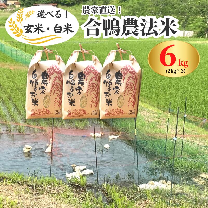 令和7年産 白米 玄米 選べる こしひかり 6kg 2kg×3袋 合鴨農法米 コシヒカリ 農薬不使用 化学肥料不使用 合鴨農法 弁当 おにぎり 6kg 6キロ 2kg 2キロ 小分け 少量 精米