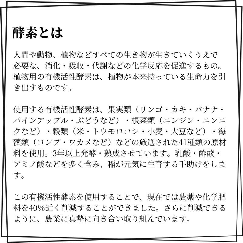 【ふるさと納税】令和7年産 量を選べる 新見産 コシヒカリ 白米 3kg 5kg 10kg 米 お米 こめ おこめ おすすめ 美味しい 健康 コシヒカリ 精米 農家直送 国産 ご飯 ごはん 弁当 お弁当 おにぎり おむすび 有機活性酵素 酵素 人気 - 画像3