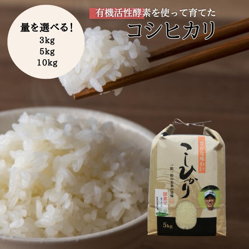 令和7年産 量を選べる 新見産 コシヒカリ 白米 3kg 5kg 10kg 米 お米 こめ おこめ おすすめ 美味しい 健康 コシヒカリ 精米 農家直送 国産 ご飯 ごはん 弁当 お弁当 おにぎり おむすび 有機活性酵素 酵素 人気