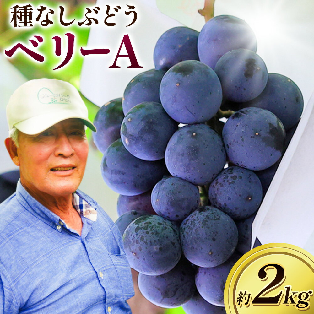 ぶどう【2026年先行予約】岡山県備前市産「ベリーA」（露地栽培） 約2kg 《9月上旬-9月中旬頃出荷》株式会社フルーツパーク備前 岡山県 備前市 葡萄 ブドウ フルーツ 果物