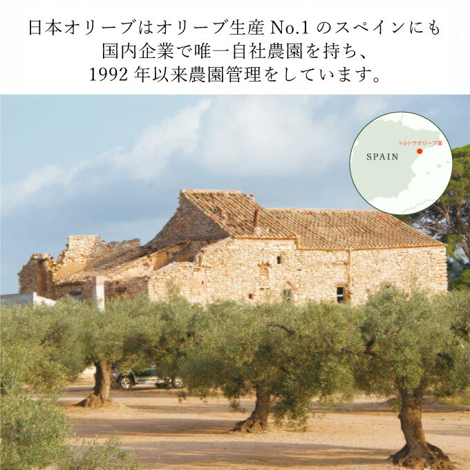 【ふるさと納税】オリーブオイル エキストラバージン オリーブ オイル トルトサ 1本入箱×5セット 調味料 油 オリーブ油 食用油 ギフト セット 2024年 　お届け：入金確認後、約2週間～1ヶ月でお届けします。 サムネイル3
