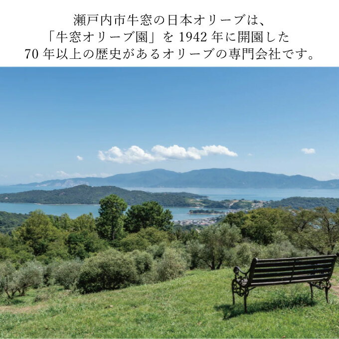 【ふるさと納税】ドレッシング セット 赤屋根の オリーブオイル 油 オリーブ油 食用油 調味料 詰め合わせ ギフト 贈り物 　お届け：入金確認後、約2週間～1ヶ月でお届けします。 サムネイル3