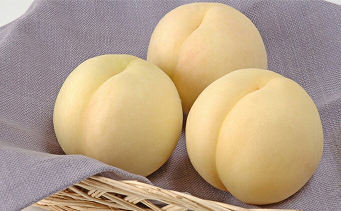 【ふるさと納税】桃 2026年 先行予約 岡山の 白桃 大玉3玉（晩生種）（1玉約300g） もも モモ 岡山県産 国産 フルーツ 果物 ギフト　お届け：2026年7月下旬～2026年8月下旬 サムネイル3