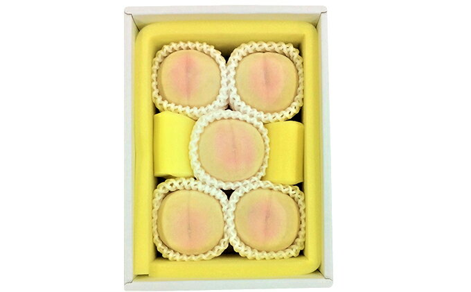 【ふるさと納税】桃 2026年 先行予約 清水白桃 5玉 合計約1.3kg もも モモ 岡山県産 国産 フルーツ 果物 ギフト　お届け：2026年7月下旬～2026年8月上旬 サムネイル3