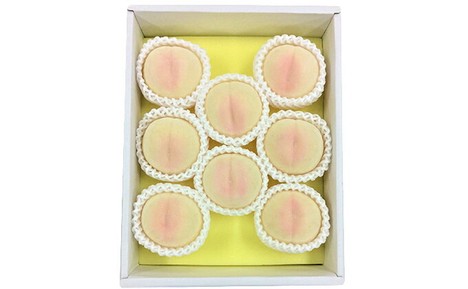 【ふるさと納税】桃 2026年 先行予約 清水白桃 8玉 合計約2.0kg もも モモ 岡山県産 国産 フルーツ 果物 ギフト　お届け：2026年7月下旬～2026年8月上旬 サムネイル3