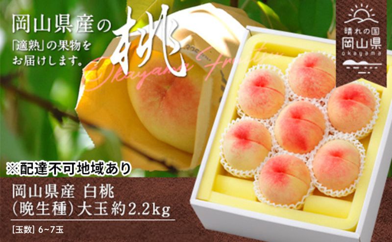 【ふるさと納税】桃 2026年 先行予約 白桃 晩生種 大玉 約2.2kg 6～7玉 もも モモ 岡山県産 国産 フルーツ 果物 ギフト 　お届け：2026年8月上旬～2026年9月中旬 サムネイル2