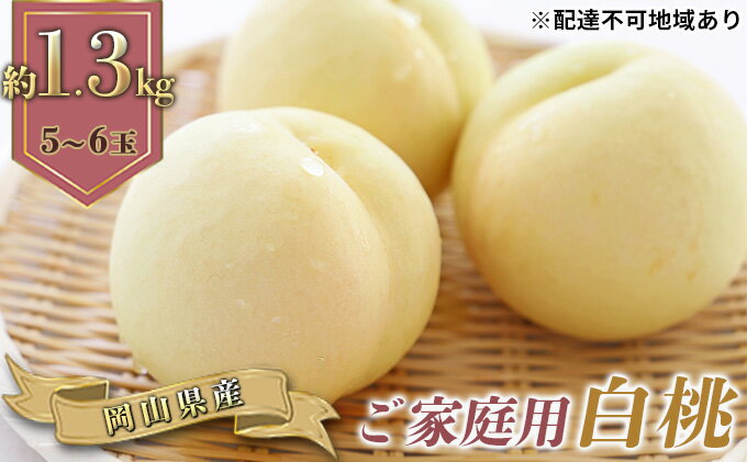【ふるさと納税】桃 2026年 先行予約 ご家庭用 岡山の 白桃 早生種 5～6玉 合計約1.3kg もも モモ 岡山県産 国産 フルーツ 果物 ギフト　お届け：2026年6月下旬～2026年7月中旬 サムネイル2