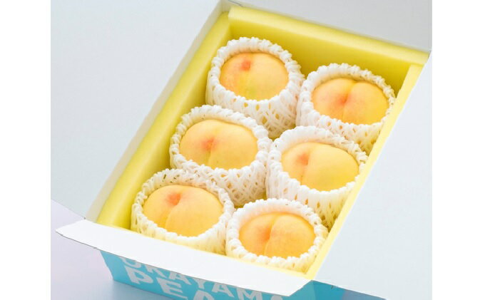 【ふるさと納税】桃 2026年 先行予約 ご家庭用 岡山の 白桃 早生種 5～6玉 合計約1.3kg もも モモ 岡山県産 国産 フルーツ 果物 ギフト　お届け：2026年6月下旬～2026年7月中旬 サムネイル3