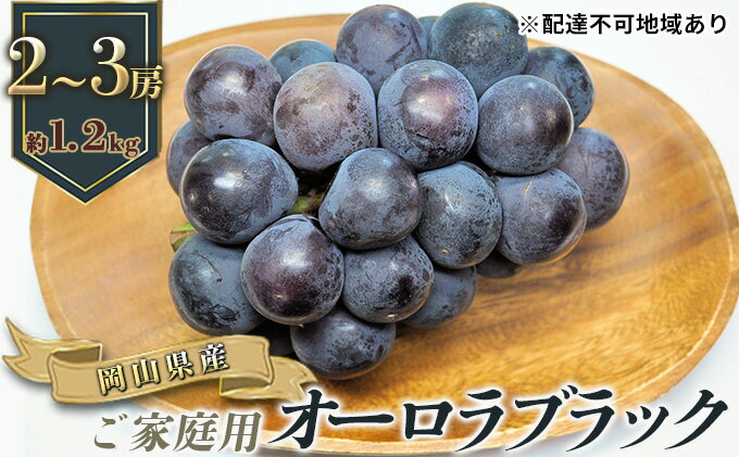 【ふるさと納税】ぶどう 2026年 先行予約 ご家庭用 オーロラブラック 2～3房 合計約1.2kg ブドウ 葡萄 岡山県産 国産 フルーツ 果物 ギフト　お届け：2026年8月下旬～2026年9月下旬 サムネイル2