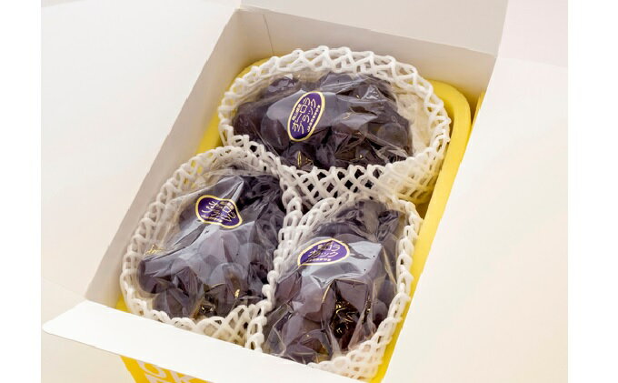 【ふるさと納税】ぶどう 2026年 先行予約 ご家庭用 オーロラブラック 2～3房 合計約1.2kg ブドウ 葡萄 岡山県産 国産 フルーツ 果物 ギフト　お届け：2026年8月下旬～2026年9月下旬 サムネイル3