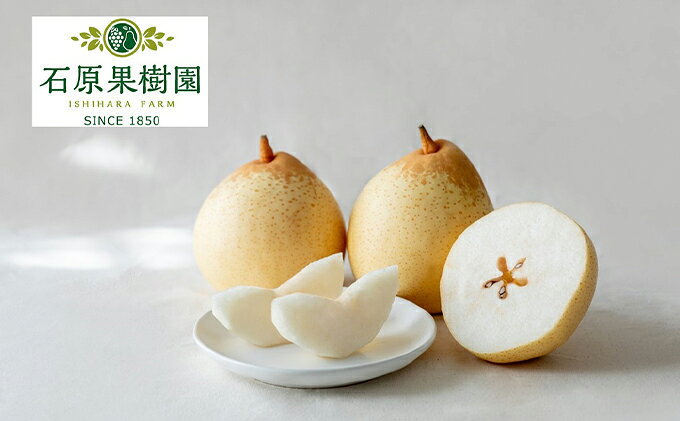 【ふるさと納税】梨 2025年 先行予約 鴨梨（ヤーリー）3～6玉 合計約2kg 贈答箱【11月下旬～12月中旬頃発送】 ナシ なし 岡山県産 国産 フルーツ 果物 ギフト 石原果樹園　お届け：2025年11月15日～2025年12月20日 サムネイル2