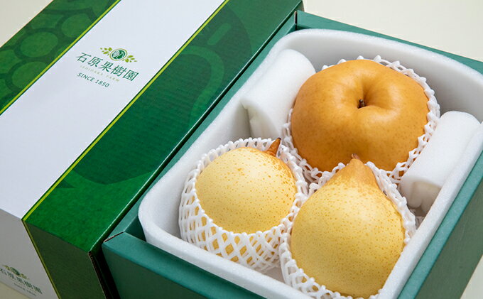 【ふるさと納税】梨 2025年 先行予約 あたご梨・鴨梨（ヤーリー）詰合せ あたご1～2玉 鴨梨2玉 合計約2kg 贈答箱【11月下旬～12月中旬頃発送】 ナシ なし 岡山県産 国産 フルーツ 果物 ギフト 石原果樹園　お届け：2025年11月15日～2025年12月20日 サムネイル3