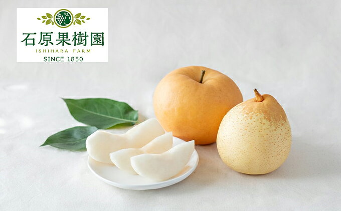 【ふるさと納税】梨 2025年 先行予約 あたご梨・鴨梨（ヤーリー）詰合せ 合計約4.5kg あたご2～3玉 鴨梨3～6玉 贈答箱【11月下旬～12月中旬頃発送】 ナシ なし 岡山県産 国産 フルーツ 果物 ギフト 石原果樹園　お届け：2025年11月15日～2025年12月20日 サムネイル2