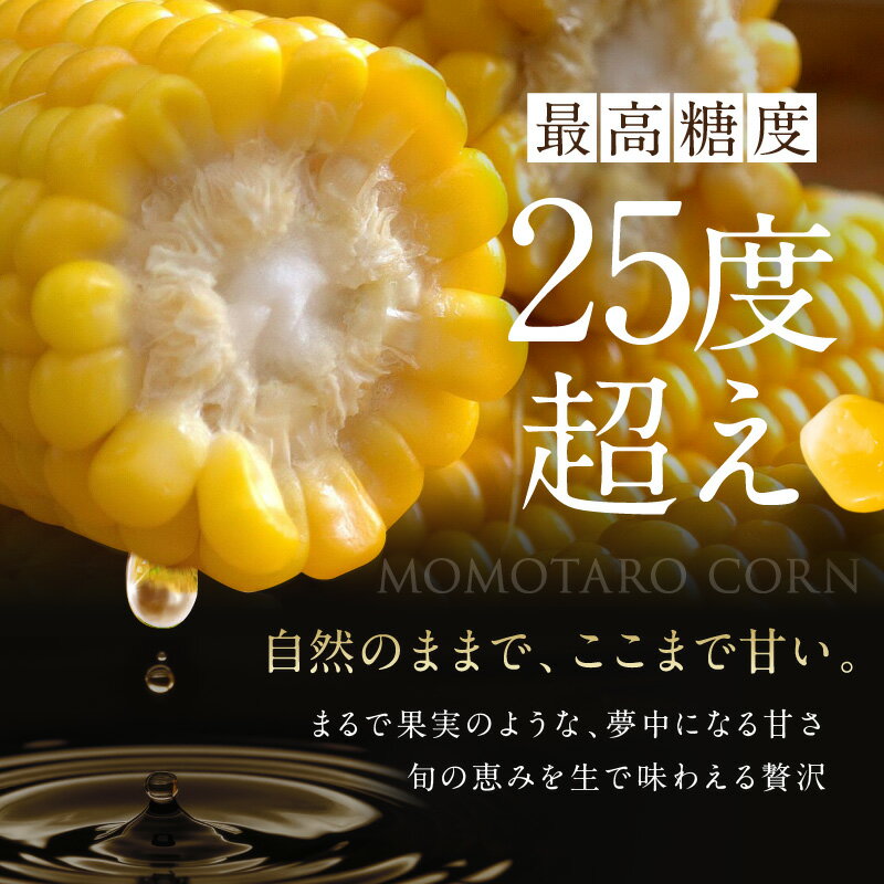 【ふるさと納税】［2026年先行予約］牛窓産とうもろこし まるでフルーツ！最高糖度25度超え 生で甘い、茹でて美味い！ 黄色 とうもろこし 「桃太郎コーン」約4kg（8～12本入り） 野菜 　お届け：2026年6月下旬～2026年9月下旬 - 画像3