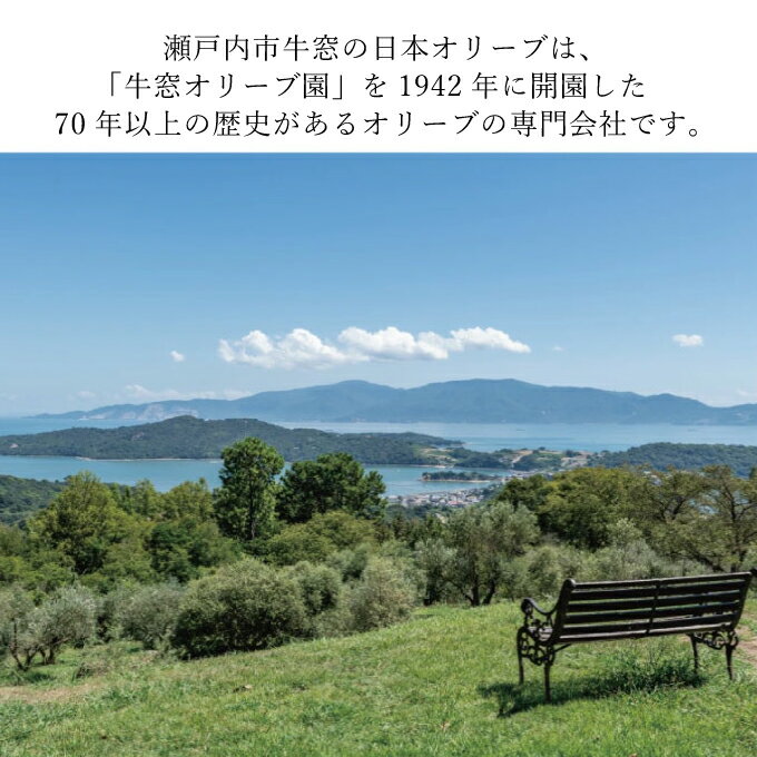 【ふるさと納税】オリーブ オイル 3品 セット ( ガーリック ピュア ) 赤屋根 油 オリーブ油 食用油 調味料 詰め合わせ ギフト 贈り物 　お届け：入金確認後、約2週間～1ヶ月でお届けします。 サムネイル3