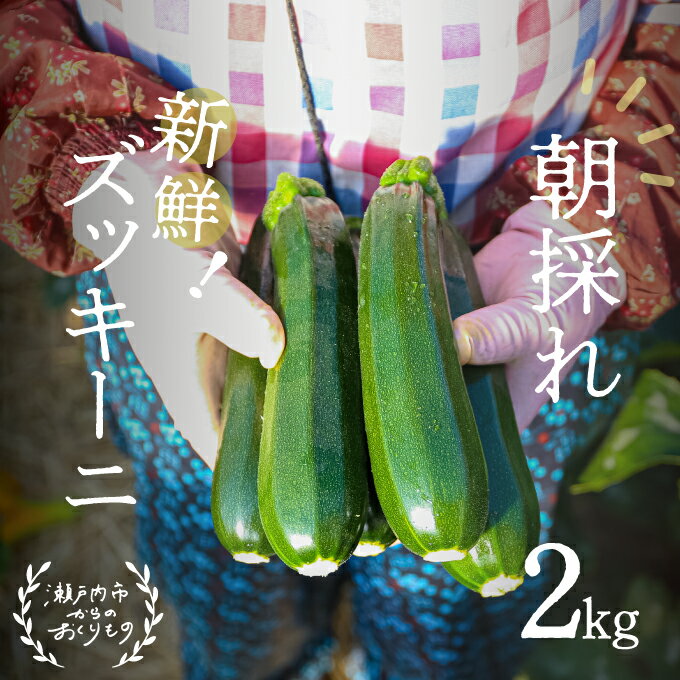 【ふるさと納税】瀬戸内 牛窓産 ズッキーニ 約2kg（12本前後） 野菜 岡山県産 　お届け：2026年4月上旬～2026年6月中旬 - 画像2