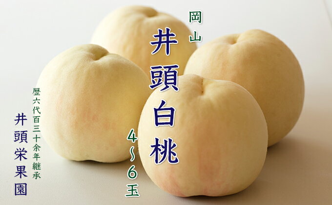 【ふるさと納税】桃 2026年 先行予約 井頭 白桃 4～6玉入り 1.5kg規格箱 もも モモ 岡山県産 国産 フルーツ 果物 ギフト 井頭栄果園 　お届け：2026年7月上旬～2026年8月中旬 サムネイル2