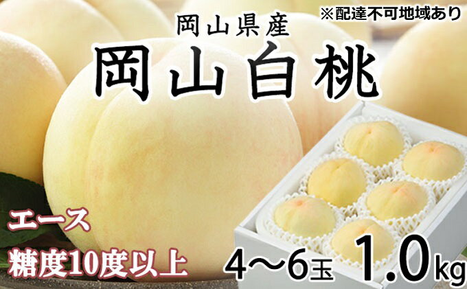 【ふるさと納税】桃 2026年 先行予約 岡山 白桃 エース 4～6玉 約1kg JAおかやまのもも（早生種・中生種） もも モモ 岡山県産 国産 フルーツ 果物 ギフト 　お届け：2026年7月上旬～2026年8月中旬 サムネイル2