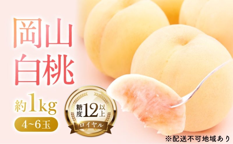 【ふるさと納税】桃 2026年 先行予約 岡山 白桃 ロイヤル 約1kg 4～6玉 JAおかやまのもも（早生種・中生種） もも モモ 岡山県産 国産 フルーツ 果物 ギフト 　お届け：2026年7月上旬～2026年8月中旬 サムネイル2