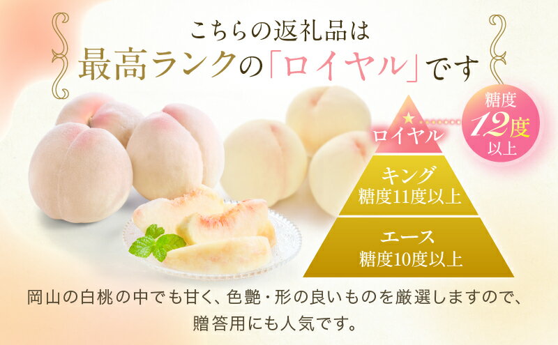 【ふるさと納税】桃 2026年 先行予約 岡山 白桃 ロイヤル 約1kg 4～6玉 JAおかやまのもも（早生種・中生種） もも モモ 岡山県産 国産 フルーツ 果物 ギフト 　お届け：2026年7月上旬～2026年8月中旬 サムネイル3