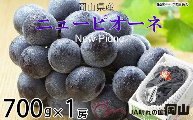 【ふるさと納税】ぶどう 2026年 先行予約 ニュー ピオーネ 約700g×1房 6月下旬～7月下旬発送 ブドウ 葡萄 岡山県産 国産 フルーツ 果物 ギフト 果物類 種なし デザート 食後 おやつ 産地直送 　お届け：2026年6月下旬～2026年7月下旬 サムネイル2