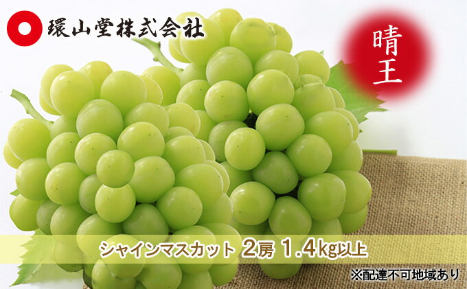 【ふるさと納税】ぶどう 2026年 先行予約 シャイン マスカット 晴王 2房 合計1.4kg以上 マスカット ブドウ 葡萄 岡山県産 国産 フルーツ 果物 ギフト 環山堂 大粒 種無し 甘い 香り 皮ごと 高糖度 贈り物 　お届け：2026年9月上旬～2026年10月上旬 サムネイル2