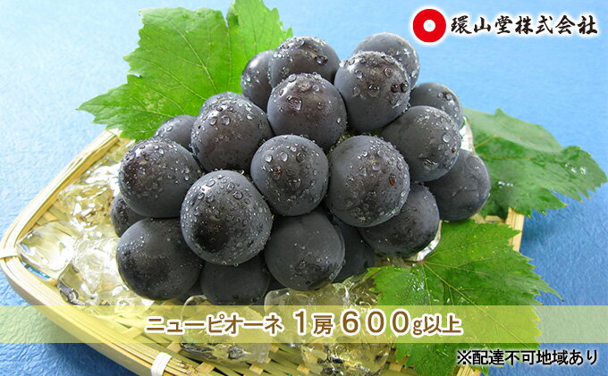 【ふるさと納税】ぶどう 2026年 先行予約 ニュー ピオーネ 1房 600g以上 ブドウ 葡萄 岡山県産 国産 フルーツ 果物 ギフト 環山堂 大粒 種無し 甘い 甘酸っぱさ 人気 香り 高糖度 美しい 贈り物 ギフト 　お届け：2026年8月下旬～2026年9月下旬 サムネイル2