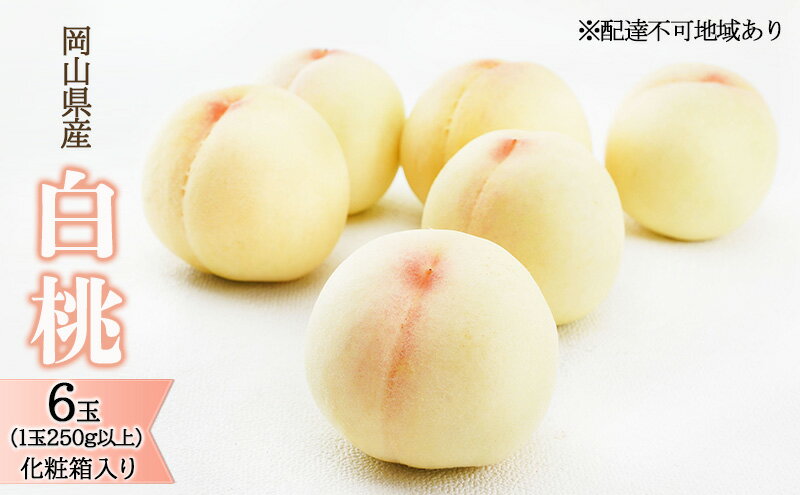 【ふるさと納税】桃 2026年 先行予約 白桃 6玉（1玉250g以上）化粧箱入り もも モモ 岡山県産 国産 フルーツ 果物 ギフト 　お届け：2026年7月上旬～2026年8月上旬 サムネイル2