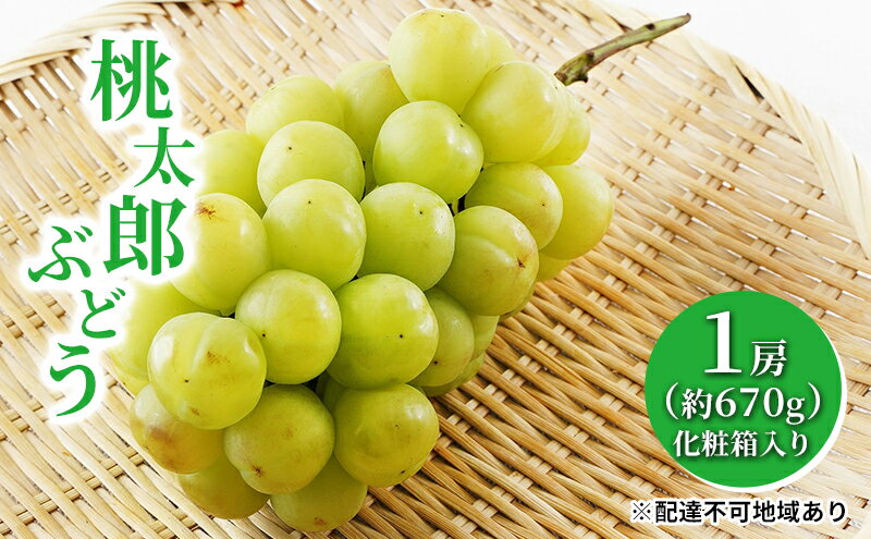 【ふるさと納税】ぶどう 2026年 先行予約 桃太郎 ぶどう 1房（1房約670g）化粧箱入り マスカット ブドウ 葡萄 岡山県産 国産 フルーツ 果物 ギフト 大粒 果実 種無し そのまま 粒ごと 酸味 甘さ 人気 　お届け：2026年8月上旬～2026年9月中旬 サムネイル2