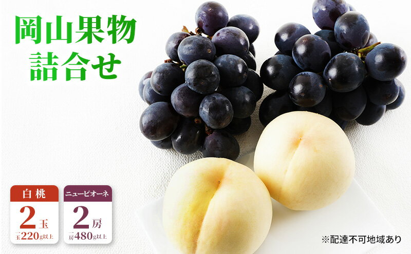 【ふるさと納税】桃 ぶどう 2026年 先行予約 果物 詰合せ 白桃 2玉（1玉220g以上）ニューピオーネ 2房（1房480g以上）化粧箱入り もも 葡萄 岡山県産 国産 フルーツ 果物 ギフト 上品な甘み とろける 強い甘み 酸味 　お届け：2026年7月下旬～2026年8月中旬 サムネイル2