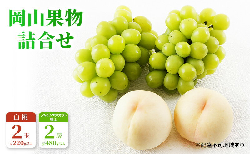 【ふるさと納税】桃 ぶどう 2026年 先行予約 果物 詰合せ 白桃 2玉（1玉220g以上）シャインマスカット 晴王 2房（1房480g以上）化粧箱入り 岡山県産 国産 フルーツ ギフト フルーツ詰め合わせ 贈答品 セット 　お届け：2026年7月下旬～2026年8月中旬 サムネイル2