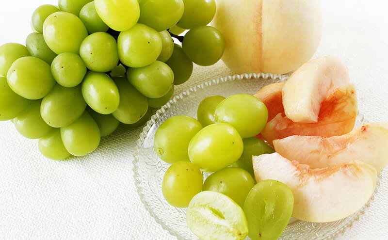 【ふるさと納税】桃 ぶどう 2026年 先行予約 果物 詰合せ 白桃 2玉（1玉220g以上）シャインマスカット 晴王 2房（1房480g以上）化粧箱入り 岡山県産 国産 フルーツ ギフト フルーツ詰め合わせ 贈答品 セット 　お届け：2026年7月下旬～2026年8月中旬 サムネイル3